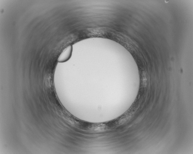 X0000069810514200606161853