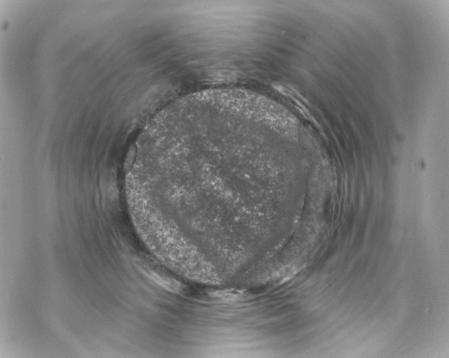 X0000069810516200606161853