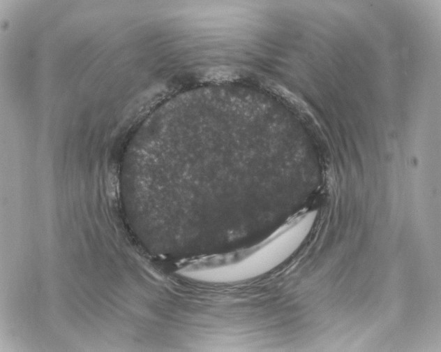 X0000069810517200606161853