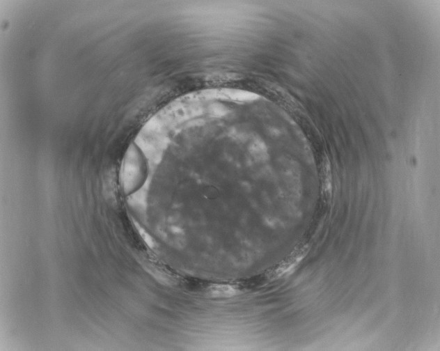 X0000069810519200606161852