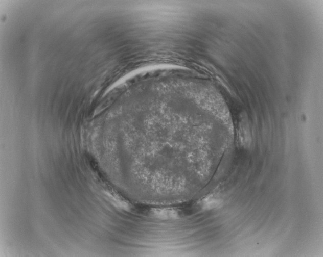 X0000069810520200606161852