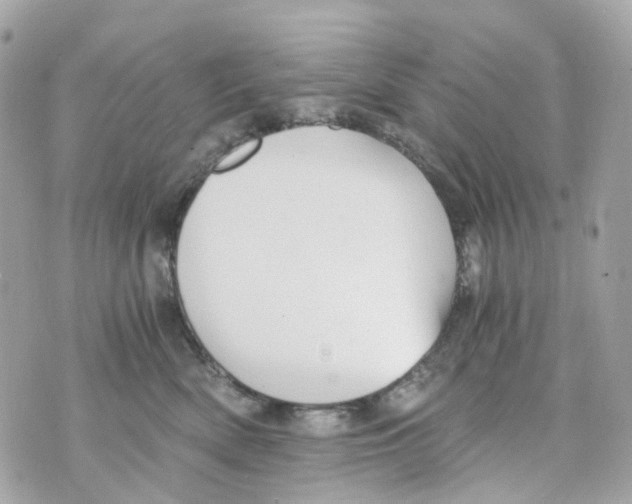 X0000069810522200606161852