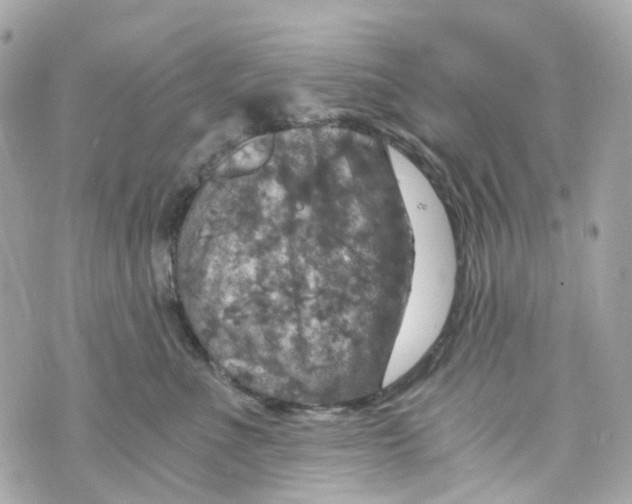 X0000069810523200606161852