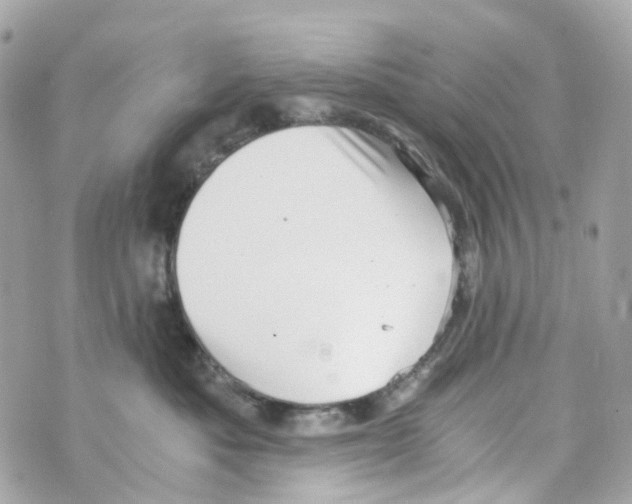 X0000069810525200606161852