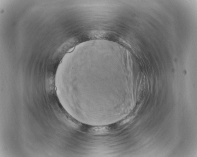 X0000069810526200606161852