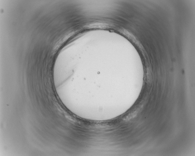 X0000069810529200606161852