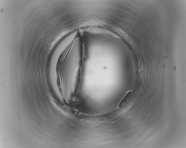 X0000069810530200606161852