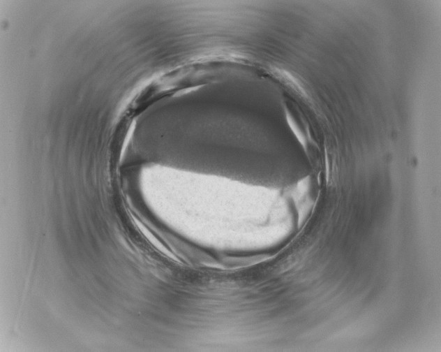 X0000069810531200606161852