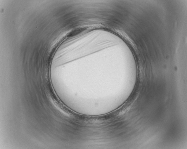 X0000069810533200606161852