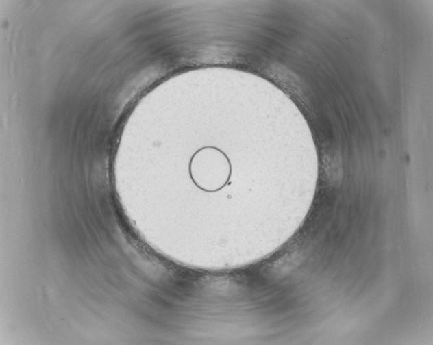 X0000069810534200606161852