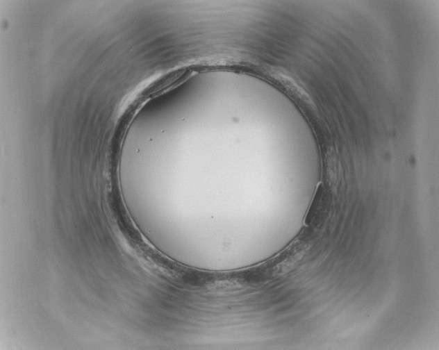 X0000069810536200606161852