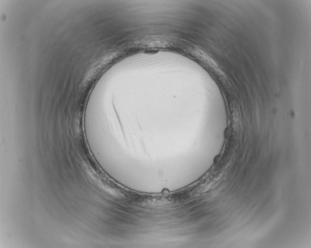 X0000069810537200606161852