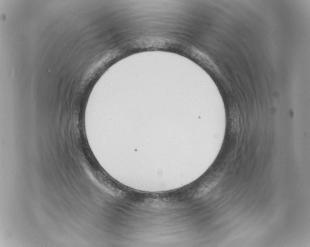 X0000069810538200606161852