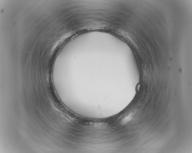 X0000069810539200606161852