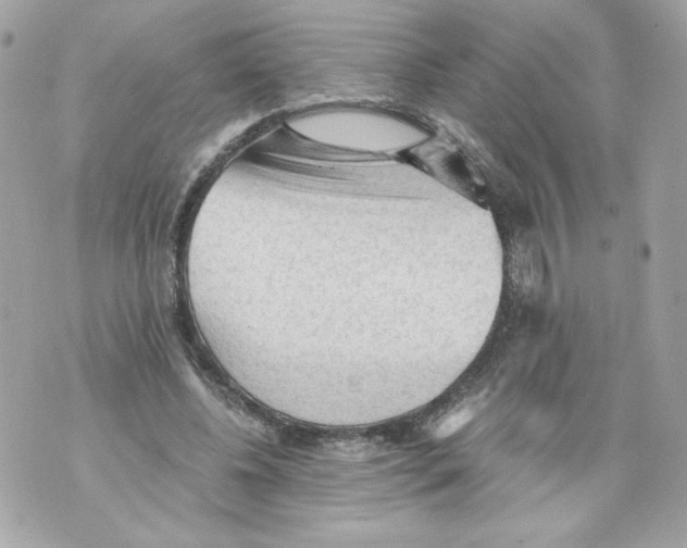 X0000069810540200606161852