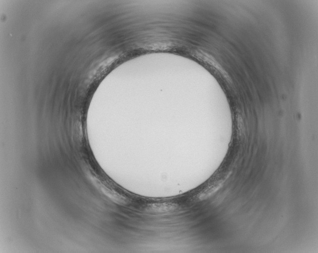 X0000069810541200606161852