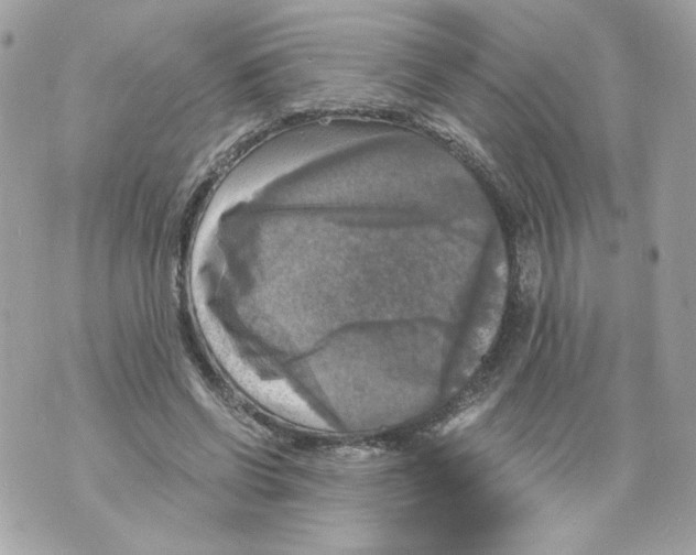 X0000069810542200606161852