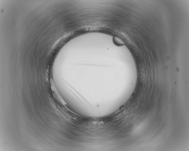 X0000069810543200606161852