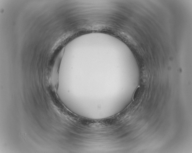 X0000069810544200606161852