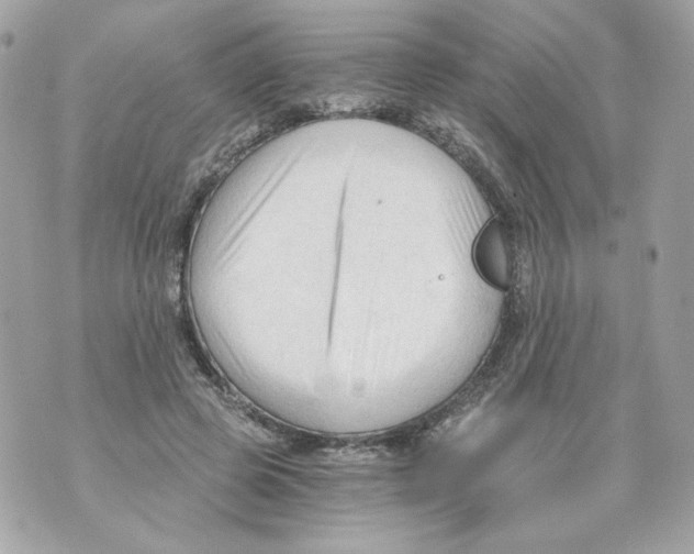 X0000069810545200606161852