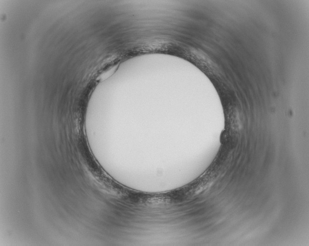 X0000069810546200606161852