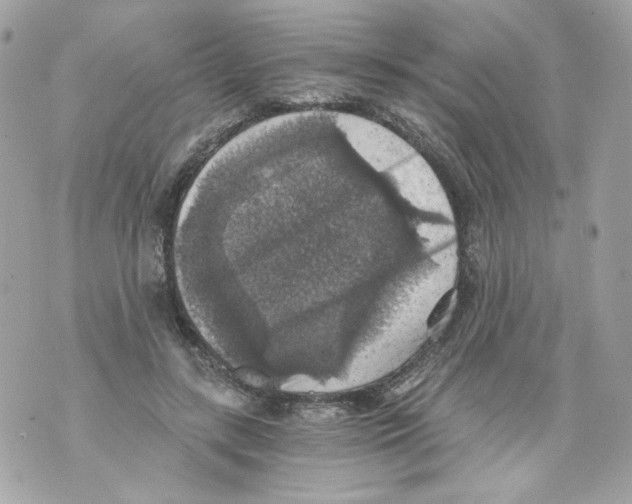 X0000069810547200606161852