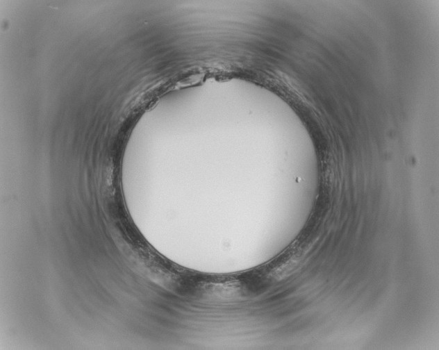 X0000069810548200606161852