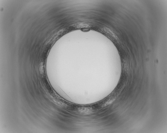 X0000069810549200606161852