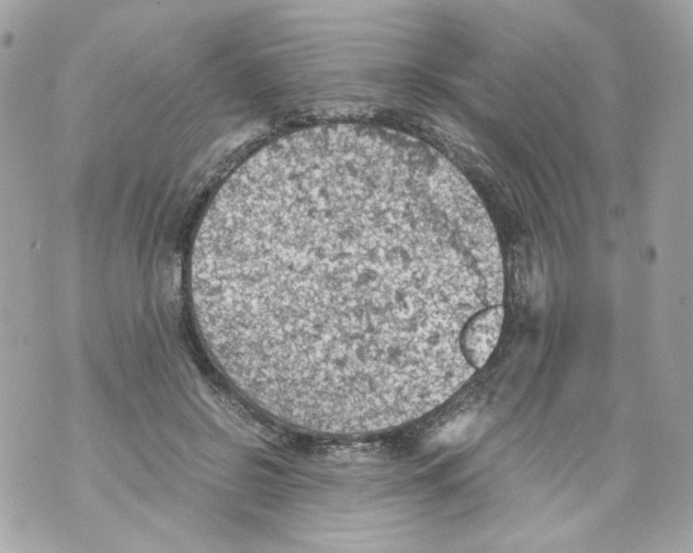 X0000069810550200606161852