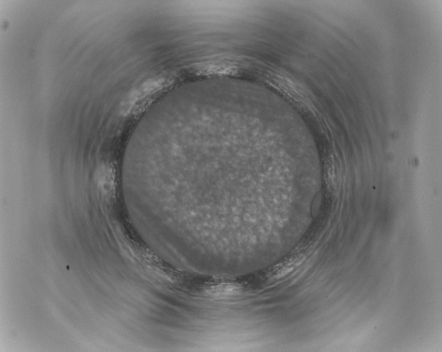 X0000069810551200606161852