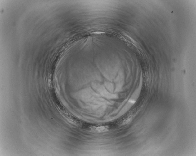 X0000069810553200606161852