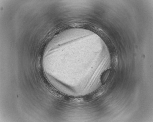 X0000069810554200606161852