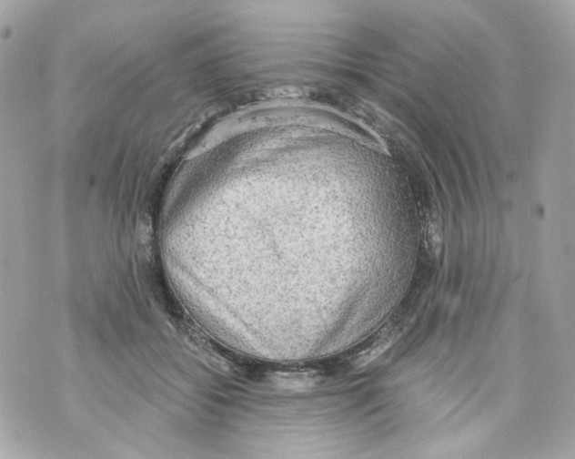 X0000069810556200606161852