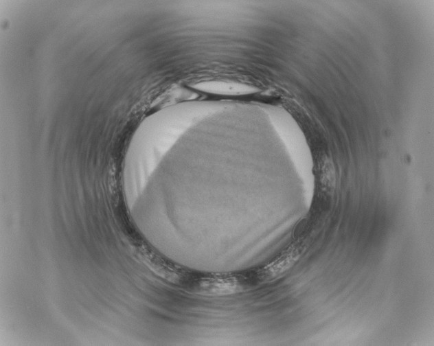 X0000069810559200606161852