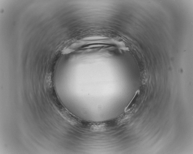 X0000069810560200606161852