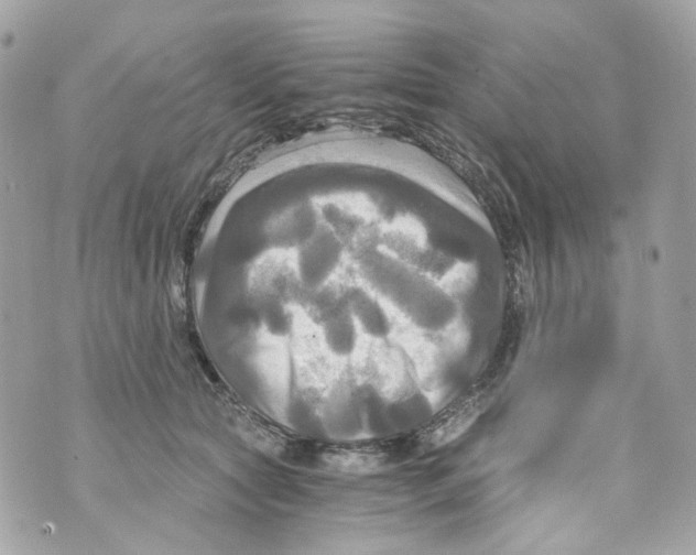 X0000069810561200606161852