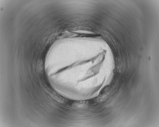 X0000069810563200606161852