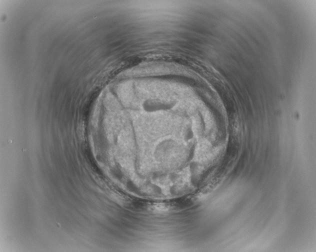 X0000069810565200606161852