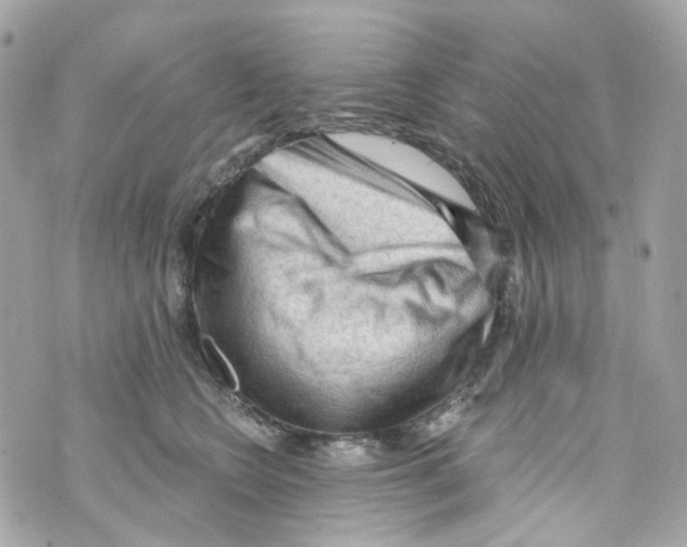 X0000069810566200606161852