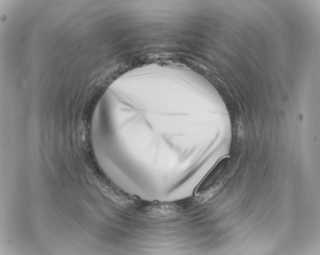 X0000069810567200606161852