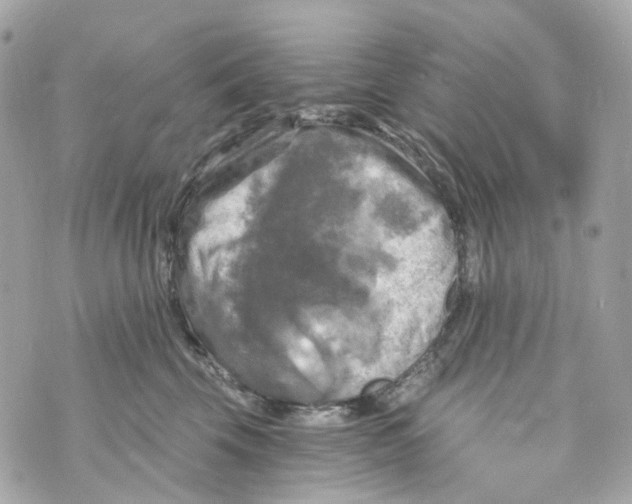 X0000069810569200606161852