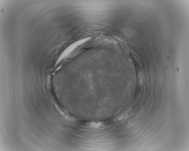 X0000069810570200606161852