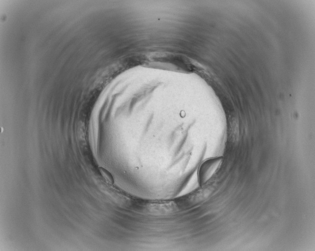 X0000069810571200606161852