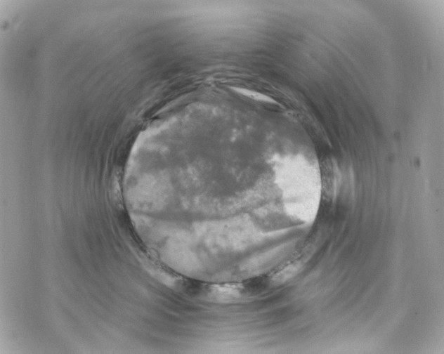 X0000069810573200606161852