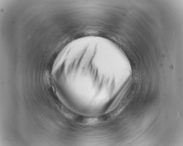 X0000069810575200606161852