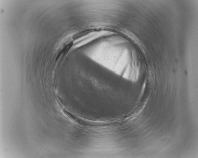 X0000069810577200606161852