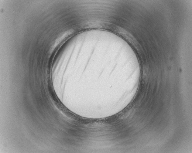 X0000069810578200606161852