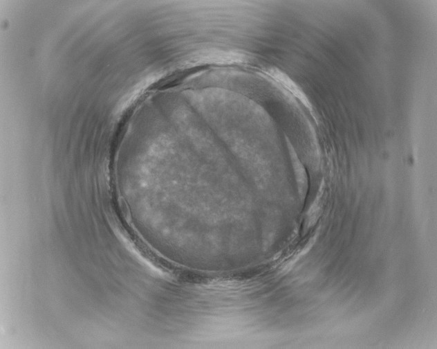 X0000069810581200606161851