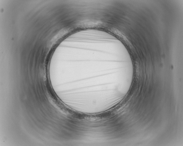 X0000069810582200606161851