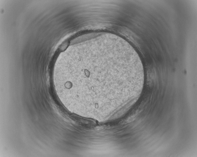 X0000069810584200606161851